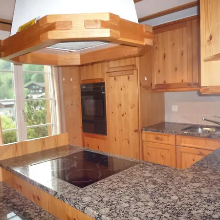 Chalet Mittelhorn Daire Grindelwald